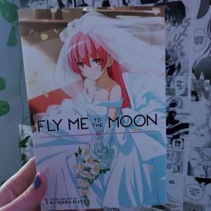 Fly me to the moon